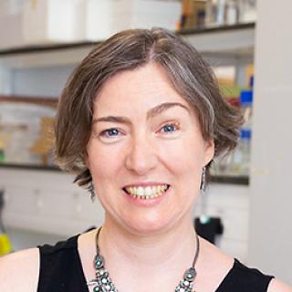 Dr. Emma Rawlins - profile image